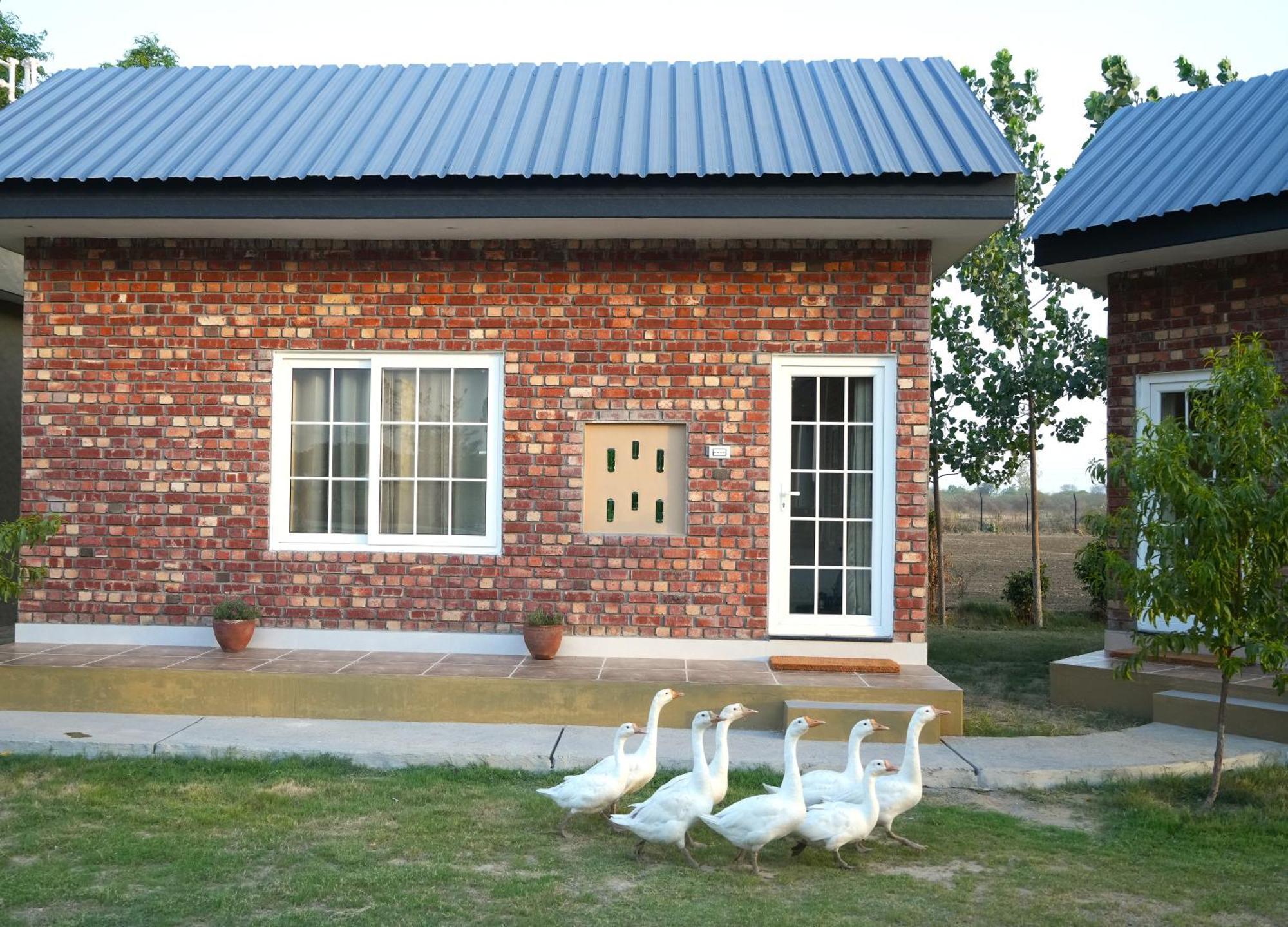 Rustic Roots Farm Stay Attari Eksteriør billede